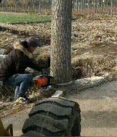锯4.gif