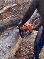锯2.gif