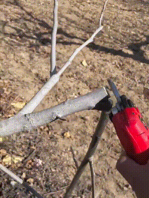 300217fe9ca3276a49401c9dc9639950.gif.gif
