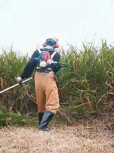 1619765705824295.gif